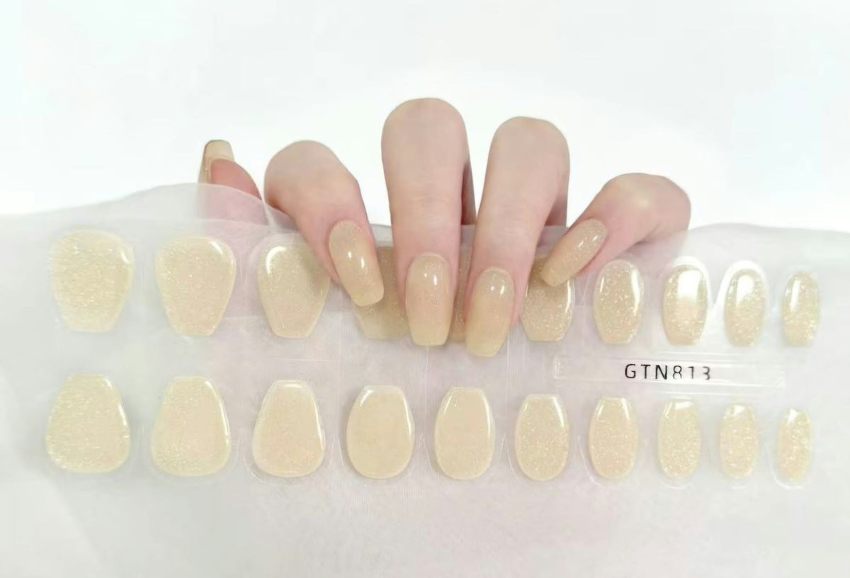 GTN813