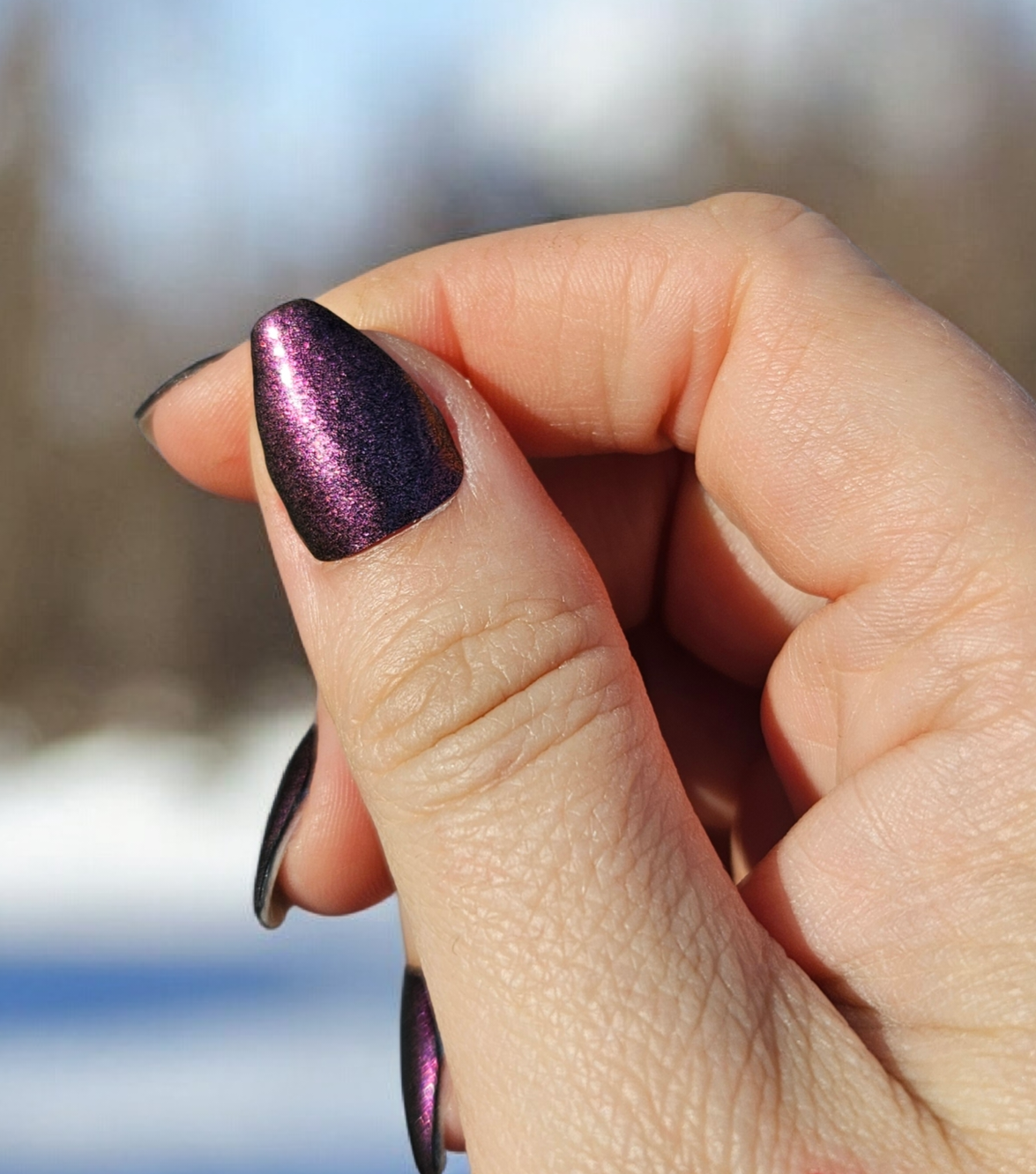 Royal Bronze - Chameleon