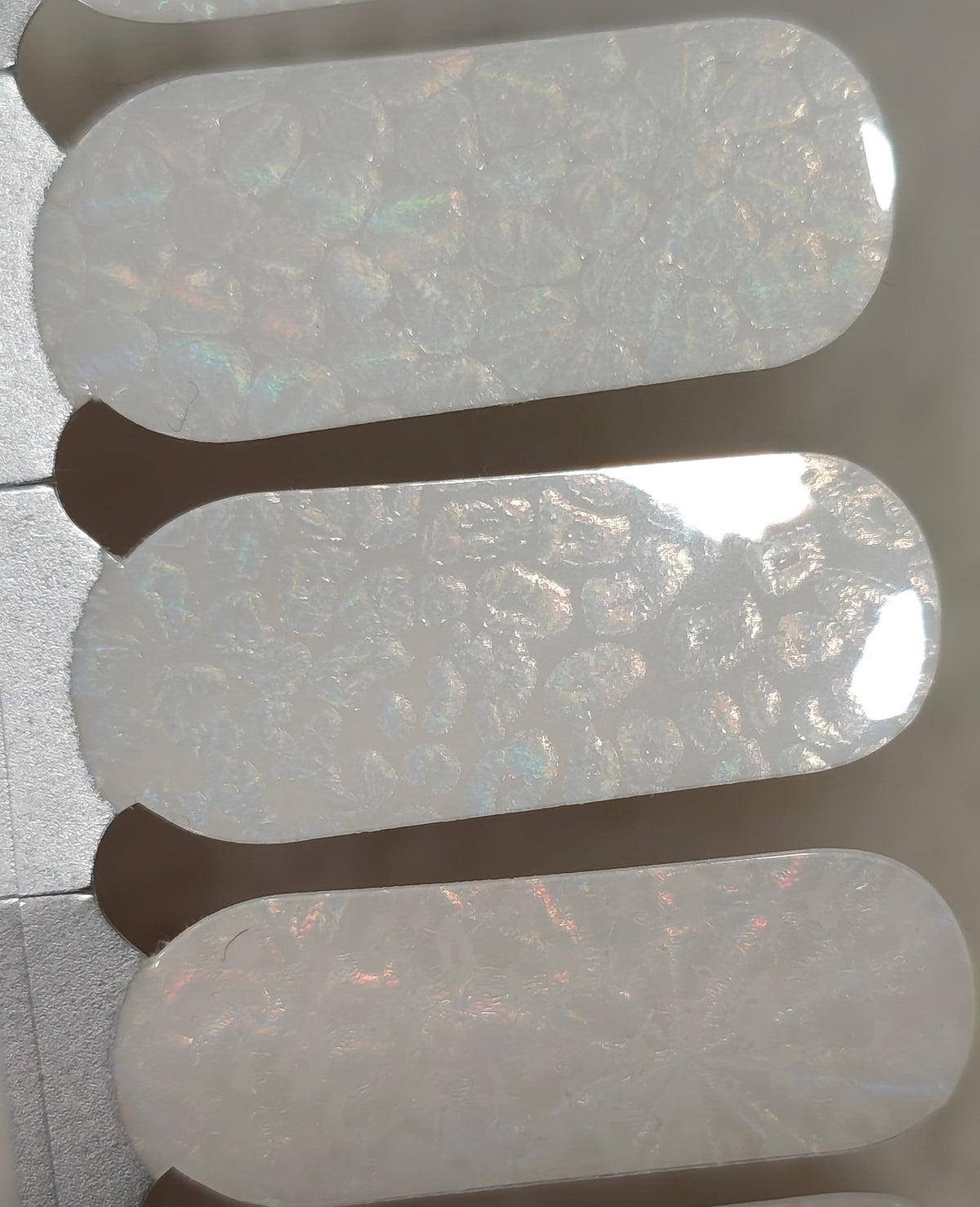 Ice Holo Animal Print - Overlay