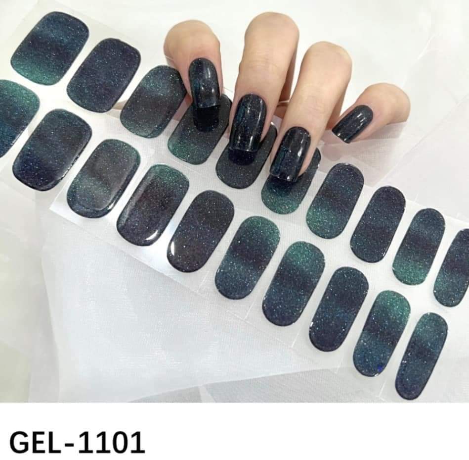 GEL 1101