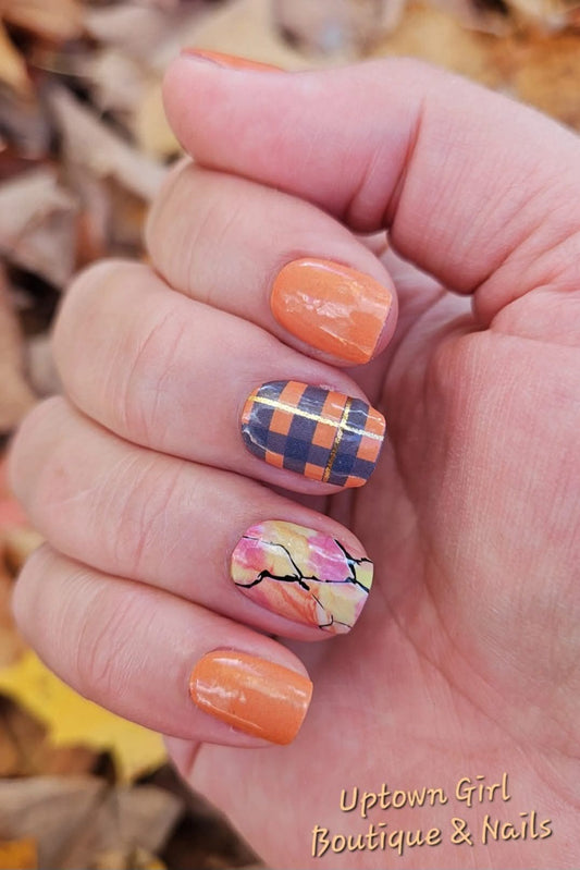 My Kinda Fall
